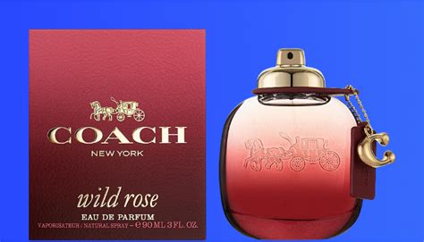 Perfumes Similar To Coach Wild Rose [Best Dupes 2024]